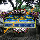 flowers 2