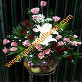 flowers 7