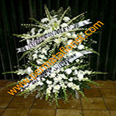 flowers 7